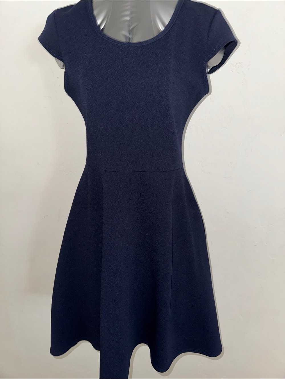 Pinc Navy Scoop-Neck Fit & Flare Mini Dress
